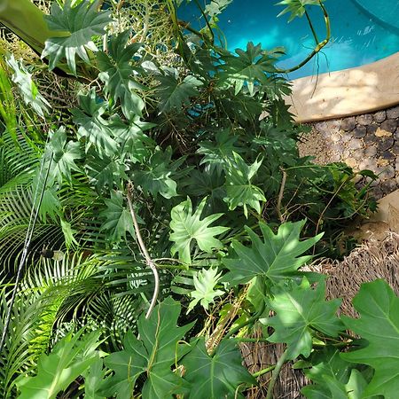 The Secret Garden Tulum Apartment Bagian luar foto