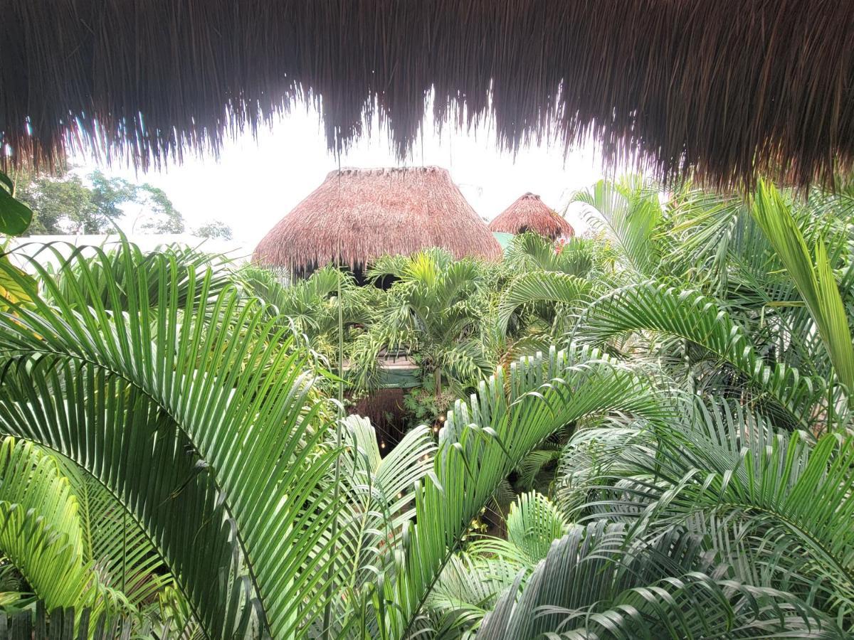 The Secret Garden Tulum Apartment Bagian luar foto