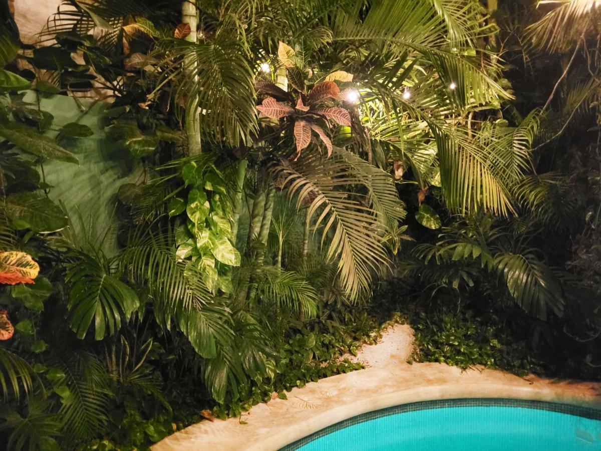 The Secret Garden Tulum Apartment Bagian luar foto