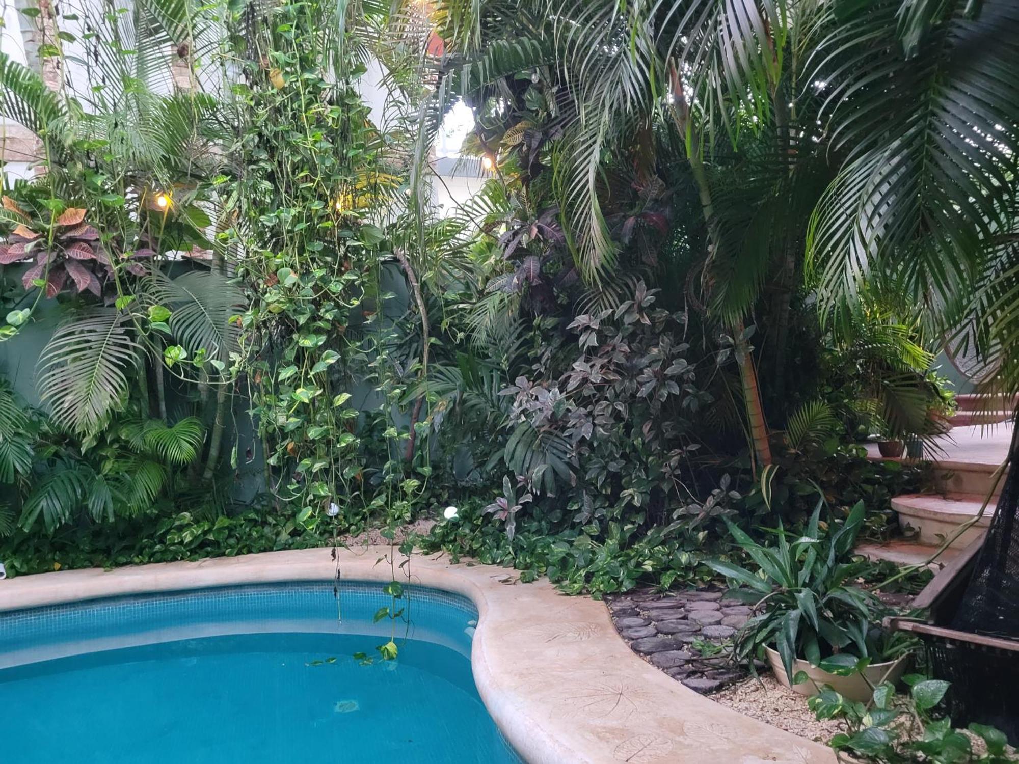 The Secret Garden Tulum Apartment Bagian luar foto