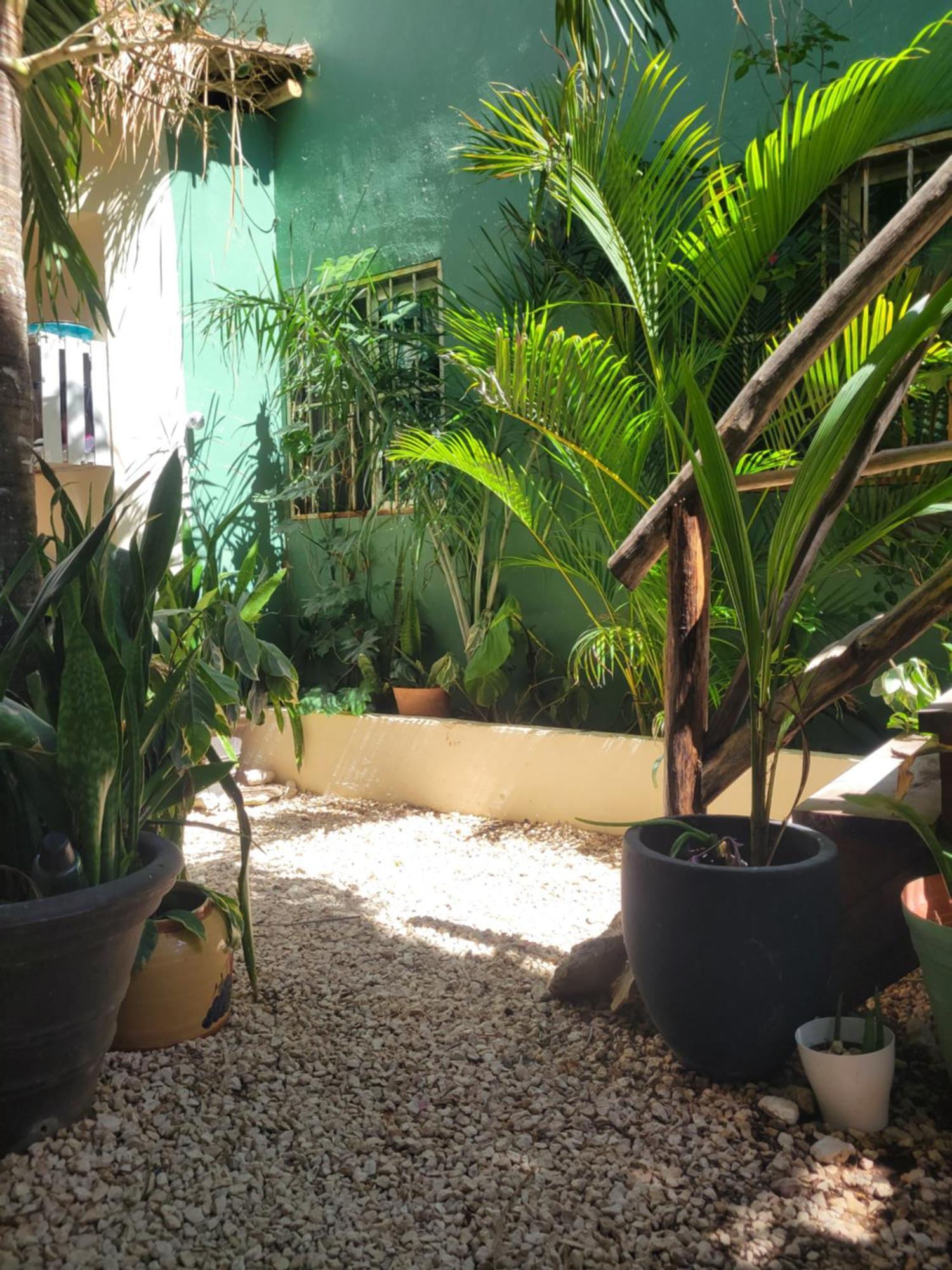 The Secret Garden Tulum Apartment Bagian luar foto