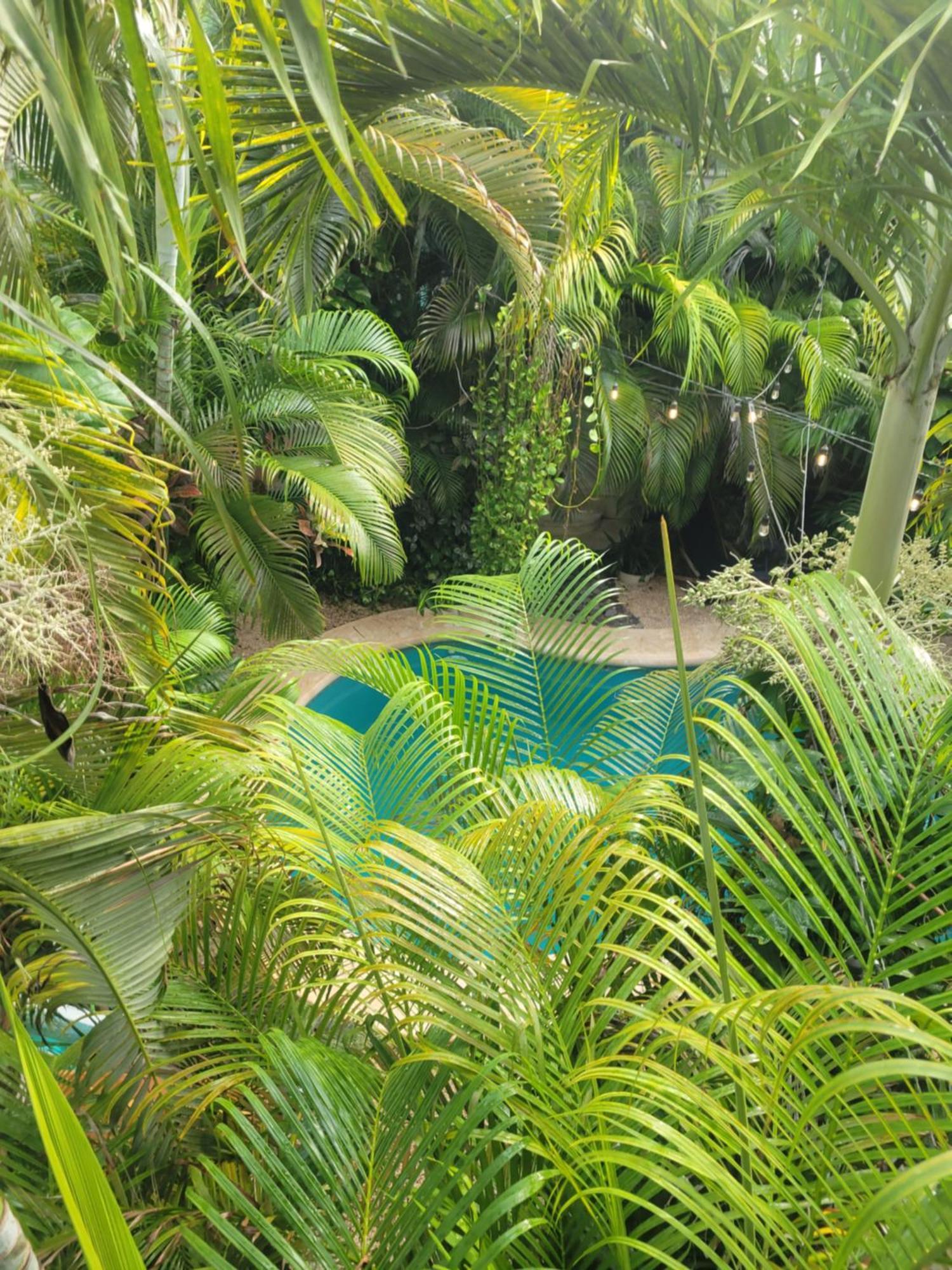 The Secret Garden Tulum Apartment Bagian luar foto