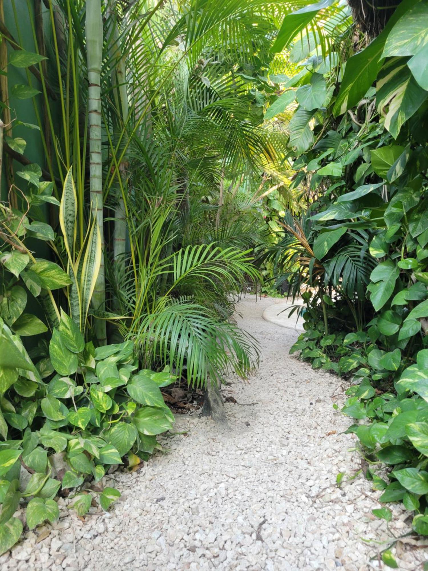 The Secret Garden Tulum Apartment Bagian luar foto