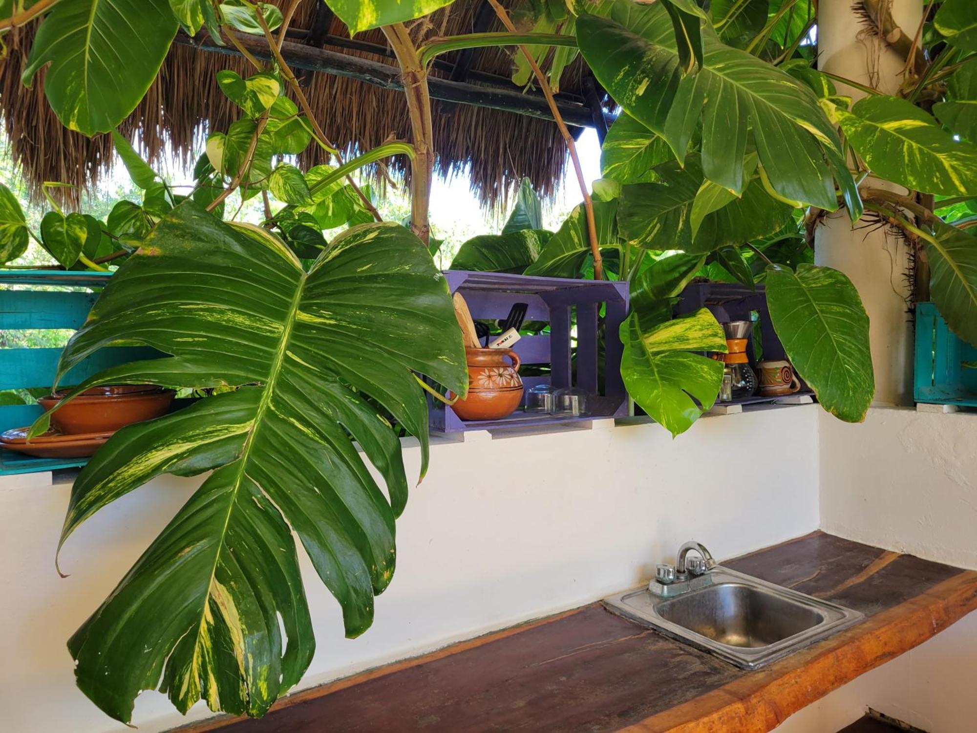 The Secret Garden Tulum Apartment Bagian luar foto